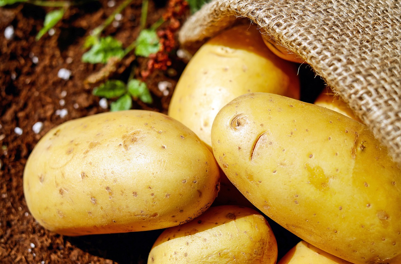 Patates (1)