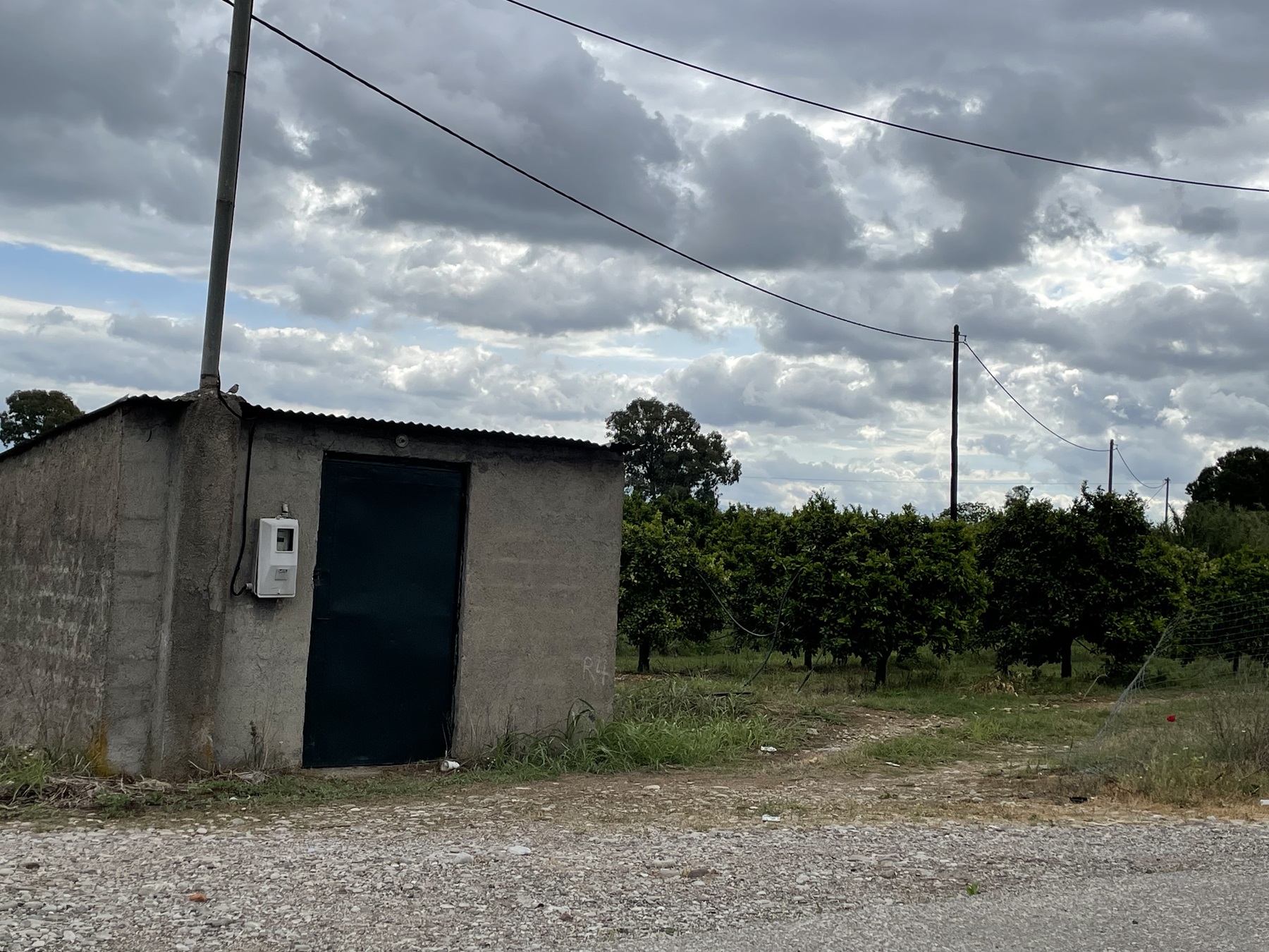 Ardeysh (6)