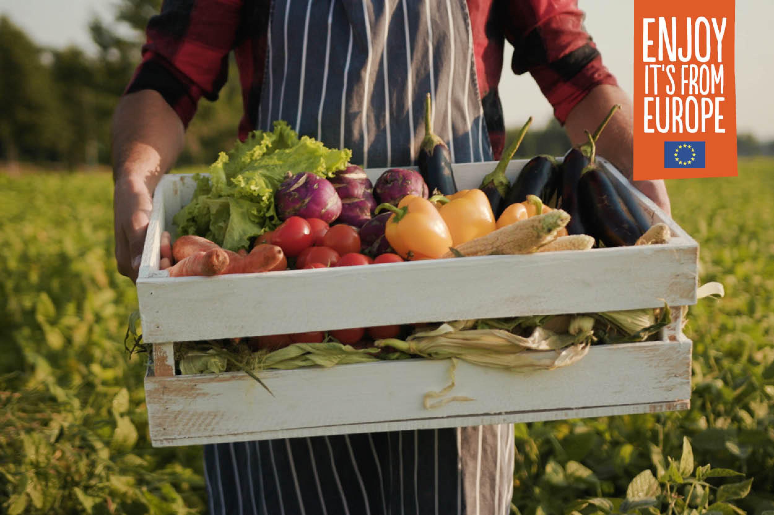 Promotion Eu Farm Products 600X400px