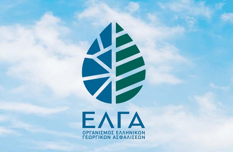 Elga (15)